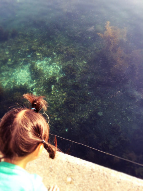 tumblr_o6xp3pkaik1v83auto1_540