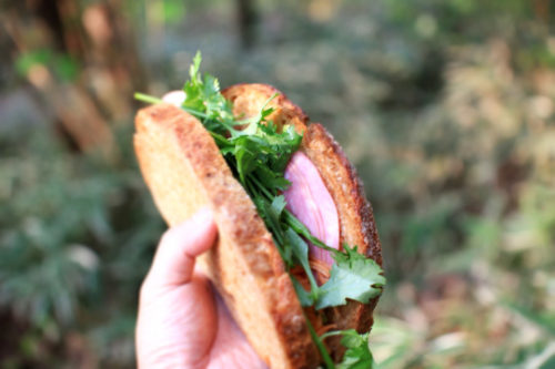 tumblr_o6xp79wvim1v83auto1_540