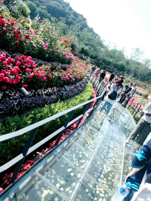 tumblr_o71cxslelc1v83auto1_540