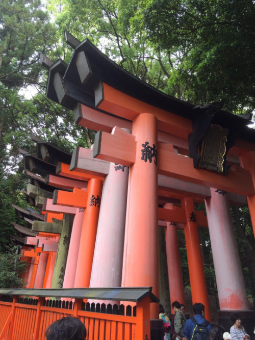 tumblr_o71cykywva1v83auto1_540